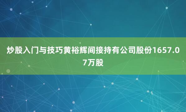 炒股入门与技巧黄裕辉间接持有公司股份1657.07万股