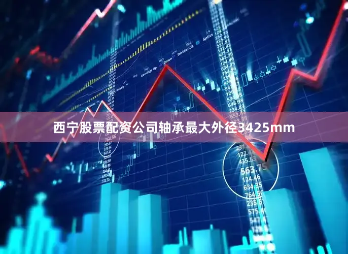 西宁股票配资公司轴承最大外径3425mm