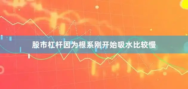 股市杠杆因为根系刚开始吸水比较慢