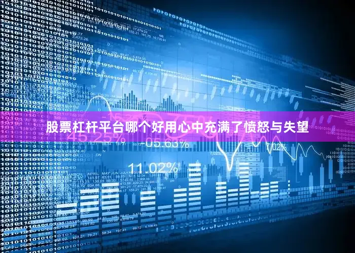 股票杠杆平台哪个好用心中充满了愤怒与失望