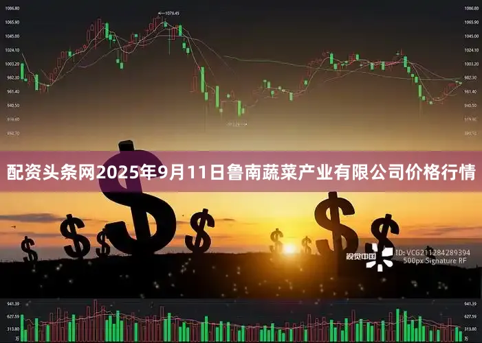 配资头条网2025年9月11日鲁南蔬菜产业有限公司价格行情